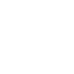 Mike Ryan Store